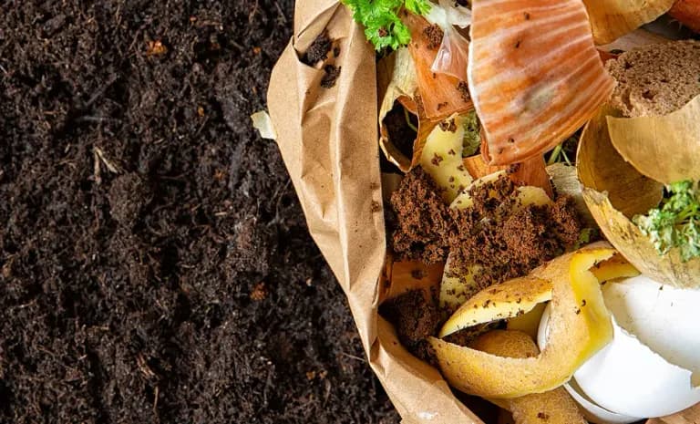 Composto orgânico escuro e pronto ao lado de um saco de papel com cascas e restos de alimento, mostrando as duas pontas do processo.